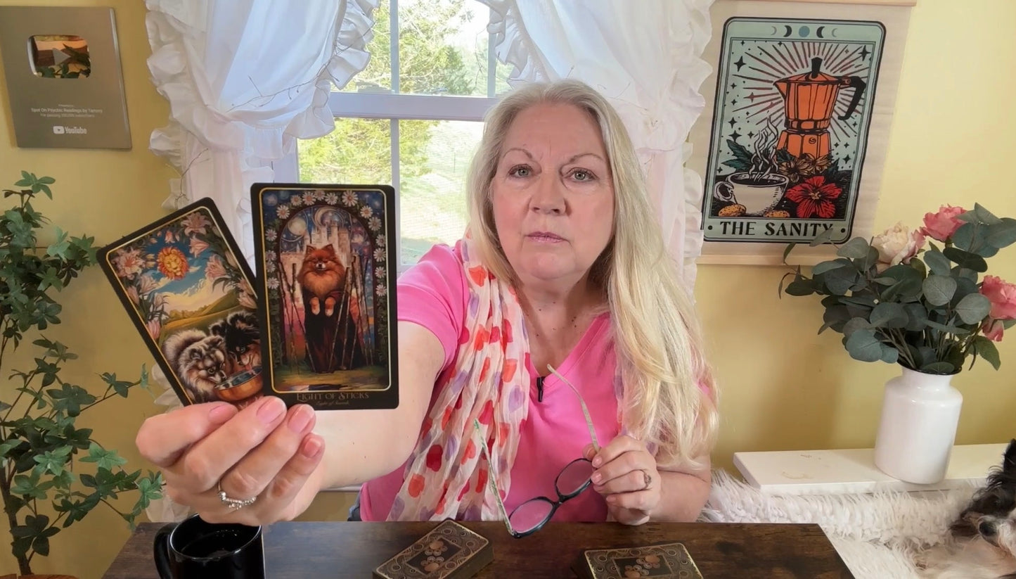 Sagittarius - This Evil Shady Person Will Not Win!!