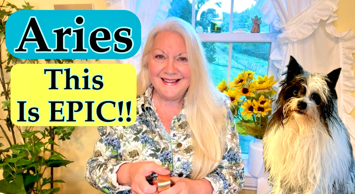 ARIES - OMG This is EPIC!